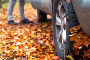 autumn car servicing tips; a car driving in autumn